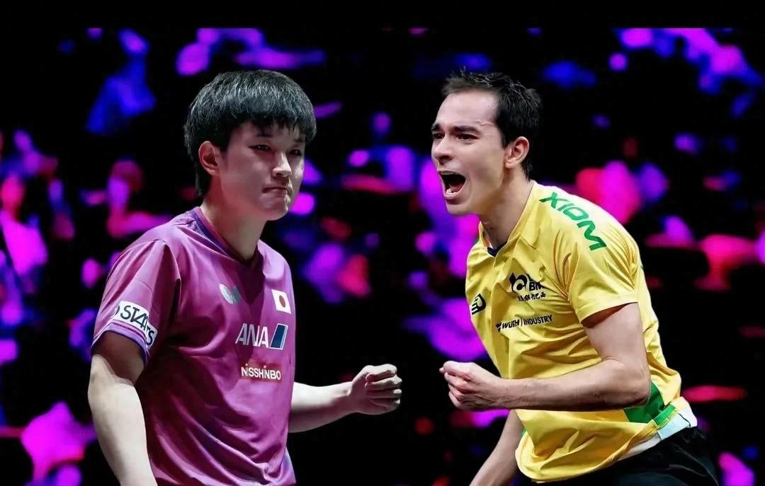 法国乒乓球队强势比利时乒乓球队，张本智和制霸全场的简单介绍
