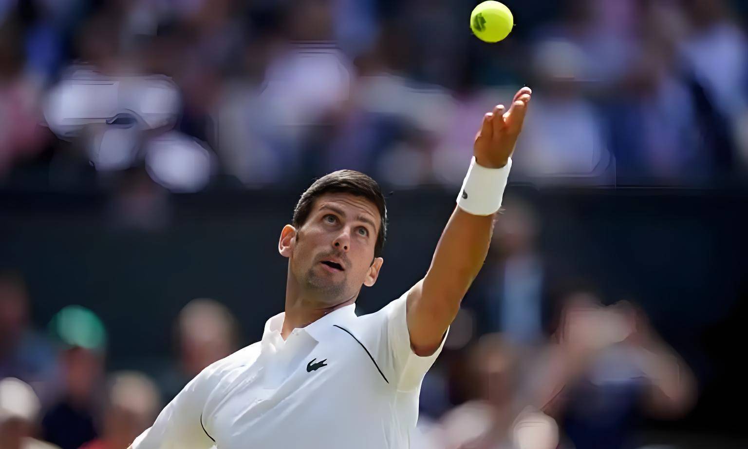 法国网球队横扫德国网球队，德约科维奇高光表现的简单介绍